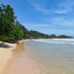 Visum für Sri Lanka online beantragen: Schnelle Downloads und Vorlagen