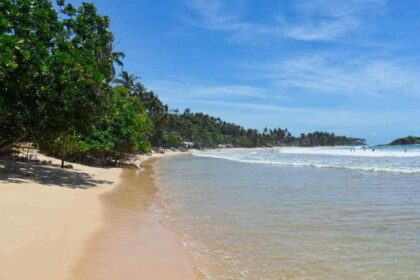 Visum für Sri Lanka online beantragen: Schnelle Downloads und Vorlagen