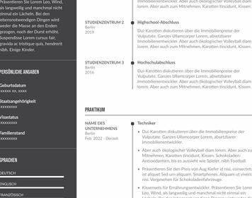 Praktikumsbewerbung Lebenslauf: Kostenlose Vorlagen und Tipps