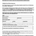Syrischer Pass online beantragen: Vorlagen für schnelle Anträge