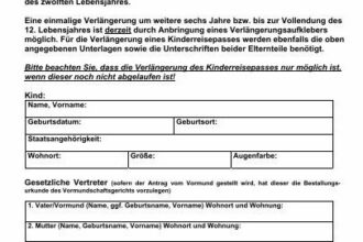 Syrischer Pass online beantragen: Vorlagen für schnelle Anträge