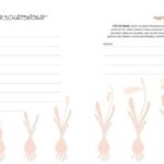 Schwangerschaft: Antragstellung und Vorlagen zum Download
