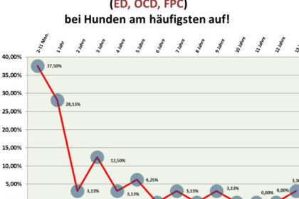 Barmenia Zahnzusatzversicherung kÃ¼ndigen: Kostenlose Vorlage fÃ¼r die KÃ¼ndigung