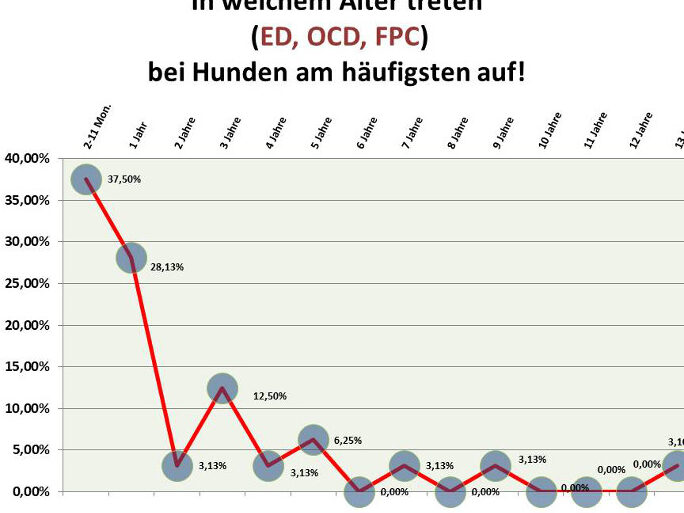 Barmenia Zahnzusatzversicherung kÃ¼ndigen: Kostenlose Vorlage fÃ¼r die KÃ¼ndigung