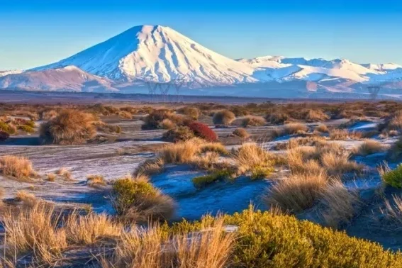 Wie man ein Neuseeland-Visum beantragt: Tipps und Vorlagen