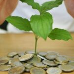 Wie Sie Now Energy kÃ¼ndigen, um Ihren Vertrag schnell zu beenden und Geld zu sparen